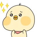 초리 포레스트 이미지