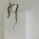 남현동-37 이미지