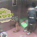 산전농장 이미지