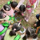 은새유치원 이미지