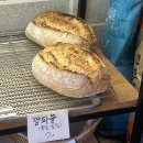 [신당 빵집] 퀸타일아저씨 - 사워도우 깜빠뉴 내돈내산 후기