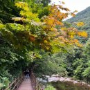 지리산충혼탑 이미지