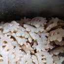 빙그레판매원
