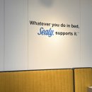 OK | 신혼가구 이사가구 매트리스 추천! 에일레 다이아몬드 구매후기 (+ 씰리침대 OK혼수백화점)