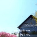 갤러리카페홍