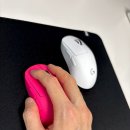 자연이 하는 말을 받아쓰다 | 로지텍 지슈라2C 내돈내산 2개 구입 후기 화이트 쓰다 핑크까지, 결국 로테이션이 답이더라