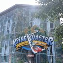 안나파크 이미지