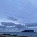 도계문구사 | JEJU - Day 14
