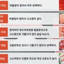 참치부라더스 이미지