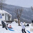 풍경목장 이미지