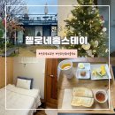 첼로 | 전주숙소추천 전주혼자여행숙소 <첼로네홈스테이> 내돈내산 후기