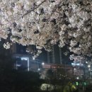 우성자동차정비(주) 이미지