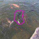 금왕읍사무소 이미지