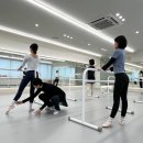 엘발레학원