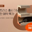 캣 팰리스 이미지