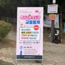 완산-19 | 전주 완산칠봉꽃동산 겹벚꽃 명소 실시간 개화 현황 주말 방문 후기 주차 꿀팁