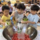 🍉🍒 🍑오늘은 랜덤화채 데이🍍🫐🥝 이미지