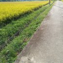 양평한울공인중개사사무소 이미지