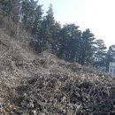 경기도 양평군 조현초등학교 이미지