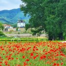 다래목장 이미지