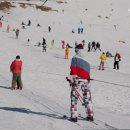 밤나무산장 이미지