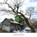 양곡정미소 이미지