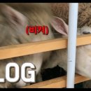 덕이목장 이미지