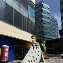 아띠라미애견용품미용 | 해운대 애견미용 몽아띠에서 구월이 미용 후기