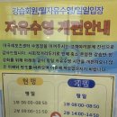 수명산다목적체육관 | 마곡레포츠센터 수영 저녁반 후기 (중상급)