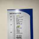 문 에스테틱 - 강남구 | 경기광주 등관리 문에스테틱 예신 등라인 관리 솔직 후기
