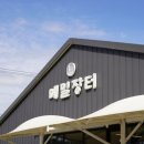 장터매운탕 | 평택 맛집 추천｜얼큰한 시래기 닭매운탕 선바위메밀장터 평택직영점