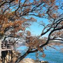 윤동주 유고 보존 정병욱 가옥 이미지