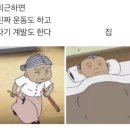 영선제일약국 | (Nov.18-Dec.17) 벌써 12월 거의 끝