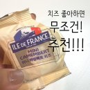 메이드인프랑스 | 코스트코 치즈 추천! 일드 프랑스 미니 까망베르 먹어본 후기