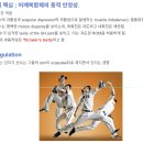 Re: 청소년 던지기(야구, 크리켓, 핸드볼, 투척종목, 수구)의 과사용 증후군과 스포츠 특성 2019 리뷰논문!! 이미지