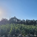 정은 공인중개사사무소 이미지