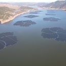 영동에너지태양광발전소 이미지