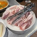 놀란뒷고기 이미지