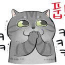 종로백세약국 이미지