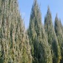 태림농원 이미지