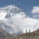 더(the)드림 이미지