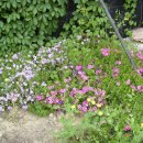 덕은농장 이미지