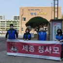 세종(구 사랑) 이미지