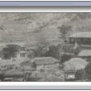 동항초등학교 Daum카페