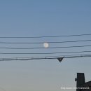 멍이와냥이 이미지