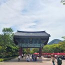 불갑사관광지 주차장 이미지