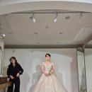 더화이트A | 더화이트엘리자베스 본식 드레스 최종 셀렉 후기(비즈/A라인)