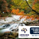 신준현신경과의원 이미지