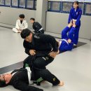 미르 주짓수 유도관 이미지