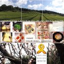 일상을 담는 인스타그램 이미지